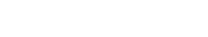 Partner 13